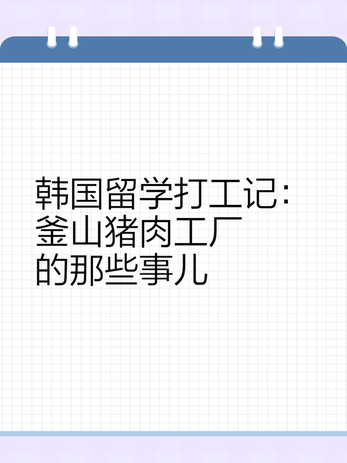 韩国留学打工记 釜山猪肉工厂的那些事儿