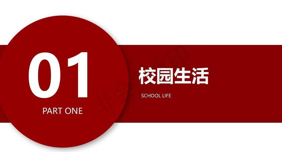 上海中医药大学 留学生的中医梦工厂 | 留学信息咨询